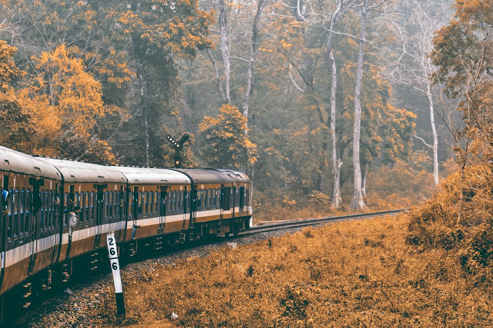 Photograph by Satyaki Chakraborty