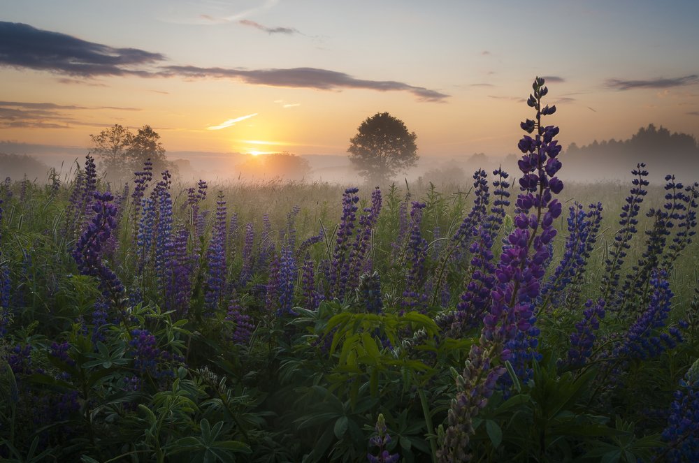 Photograph by Александр Кыров