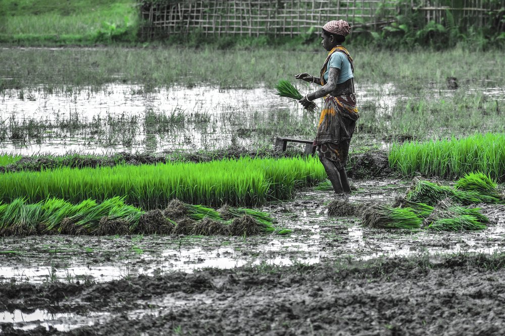Photograph by Satyaki Chakraborty
