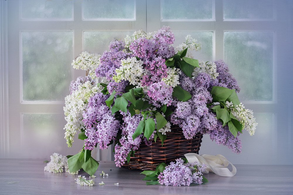 Photograph by Ирина Писанова