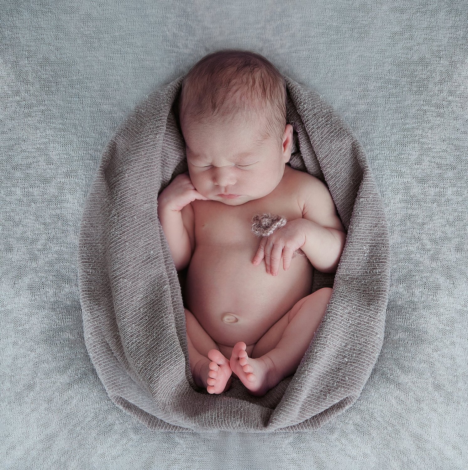 Photo #4726705
