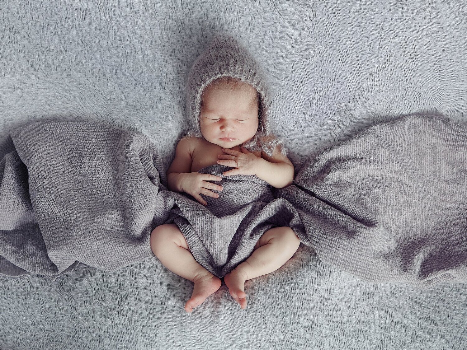 Photo #4726714