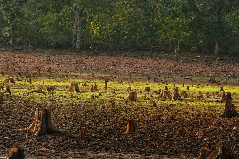 The end of nature sentinel