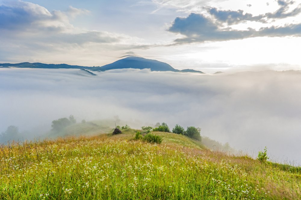 Photograph by Ana-Maria Tatarus