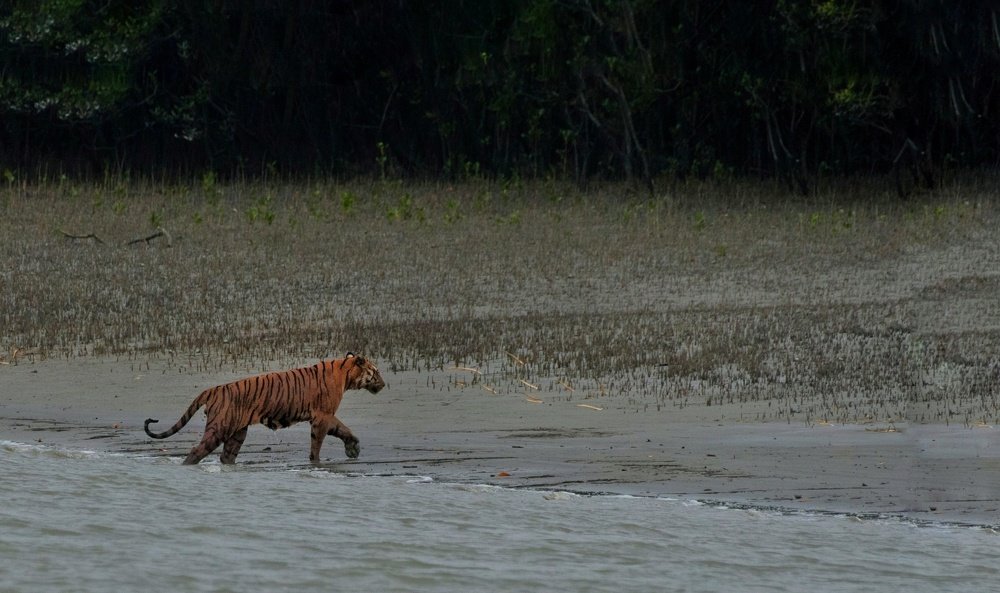 Photograph by Shayan Bose