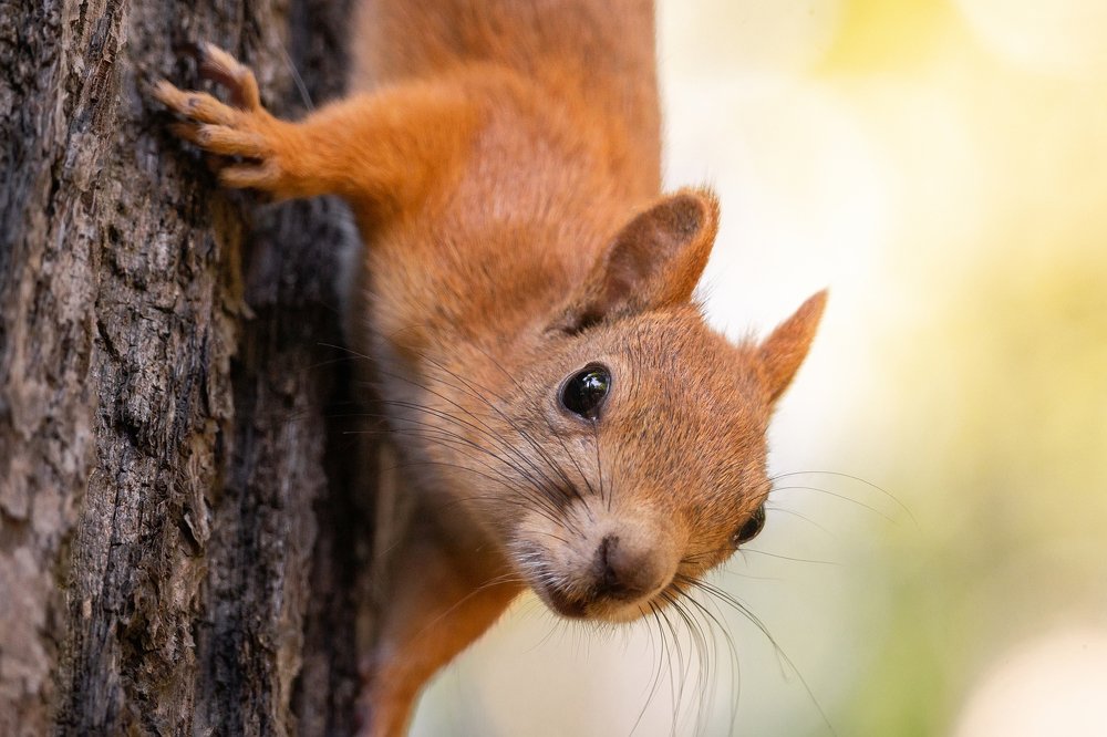 Фотография автора AlexBush