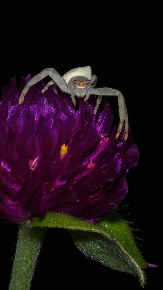 Photograph by Shayan Bose