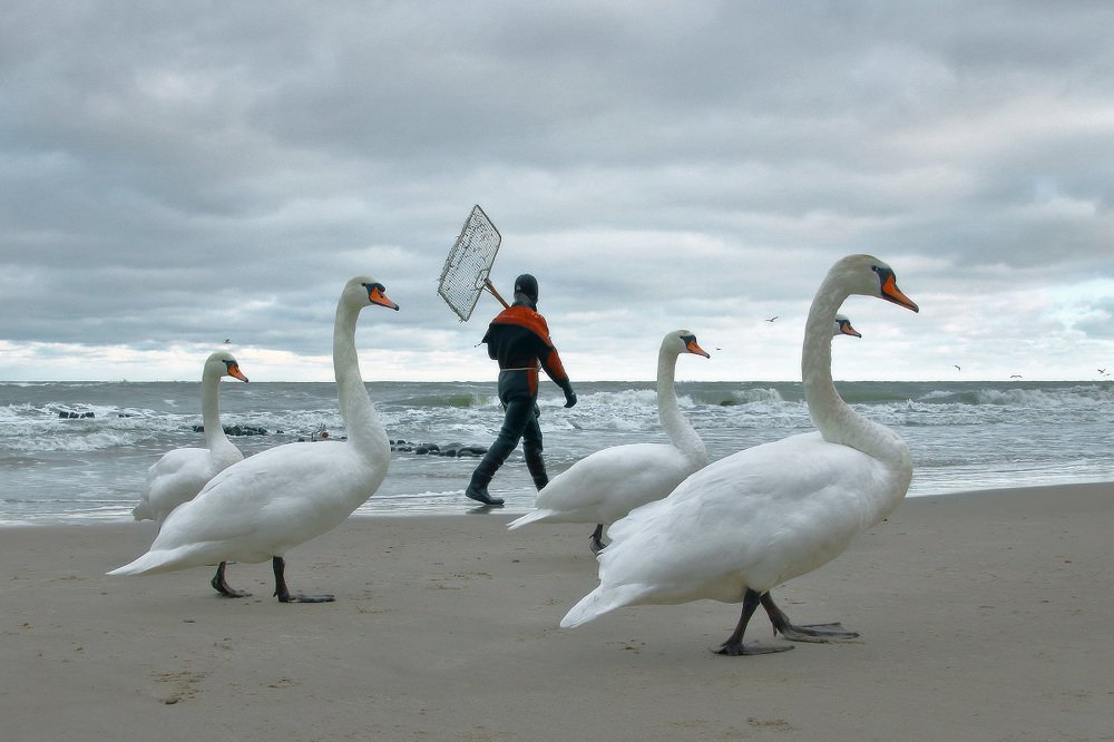 Photograph by Владимир Петрукович