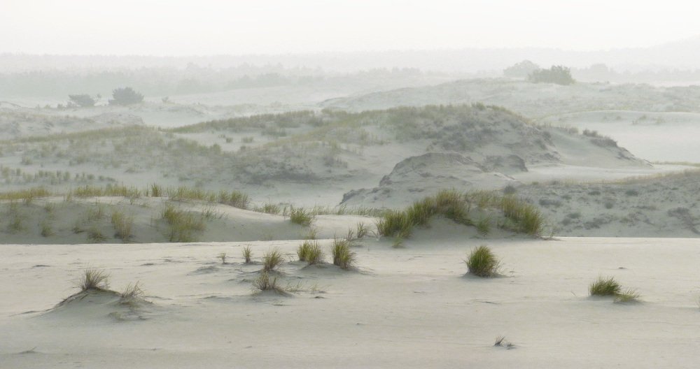 Photograph by Владимир Петрукович