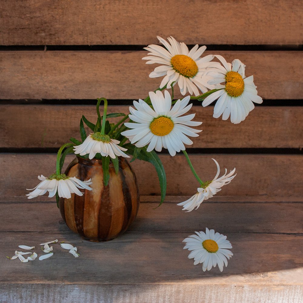 Раз ромашка, два ромашка