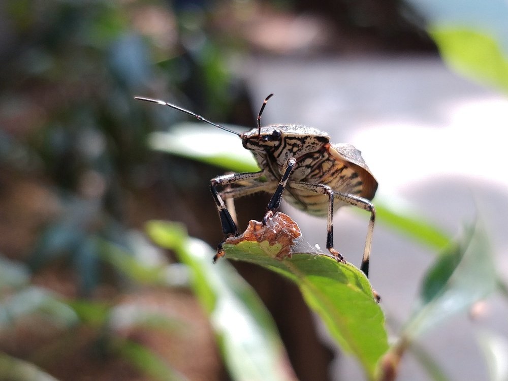 Photograph by Avdhesh Tiwari