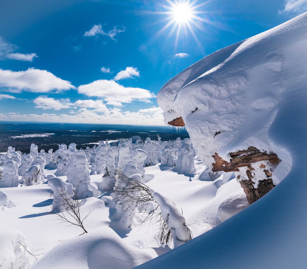 Photograph by Andrey Chuntomov