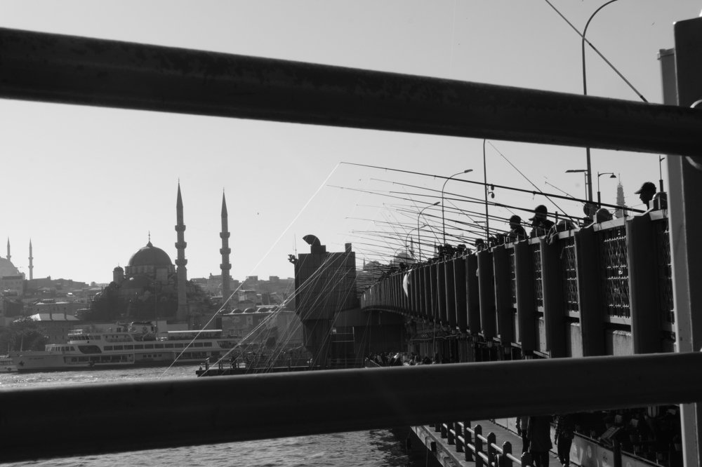 Photograph by Joy Hasanova