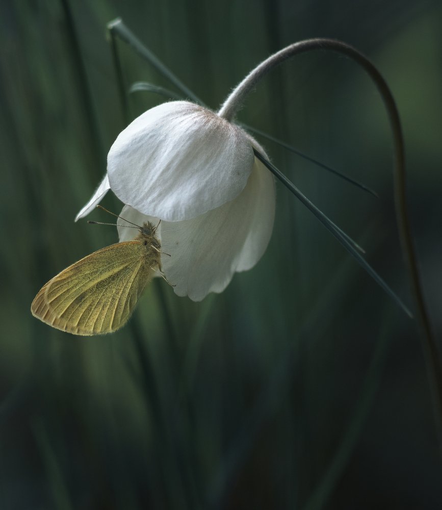 Photograph by Максим Мозжухин