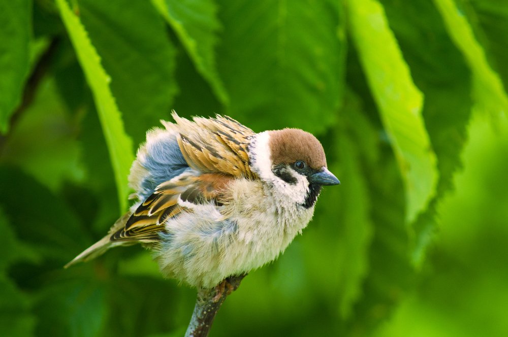 Фотография автора Артемий Николаевич