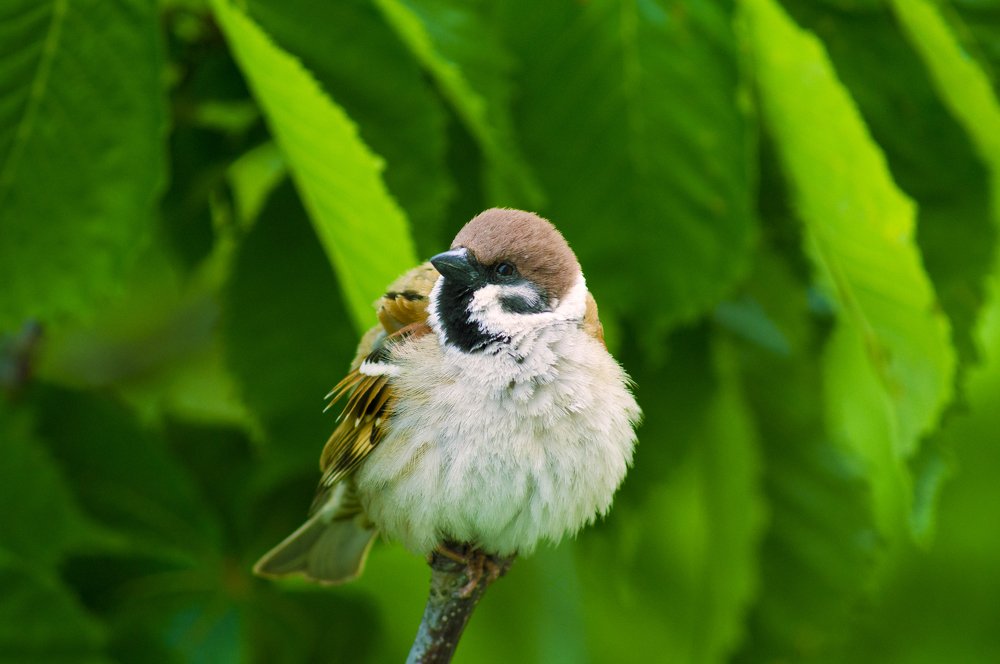 Фотография автора Артемий Николаевич