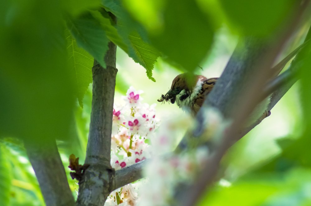 Фотография автора Артемий Николаевич