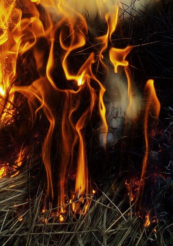 Леди ин рэд