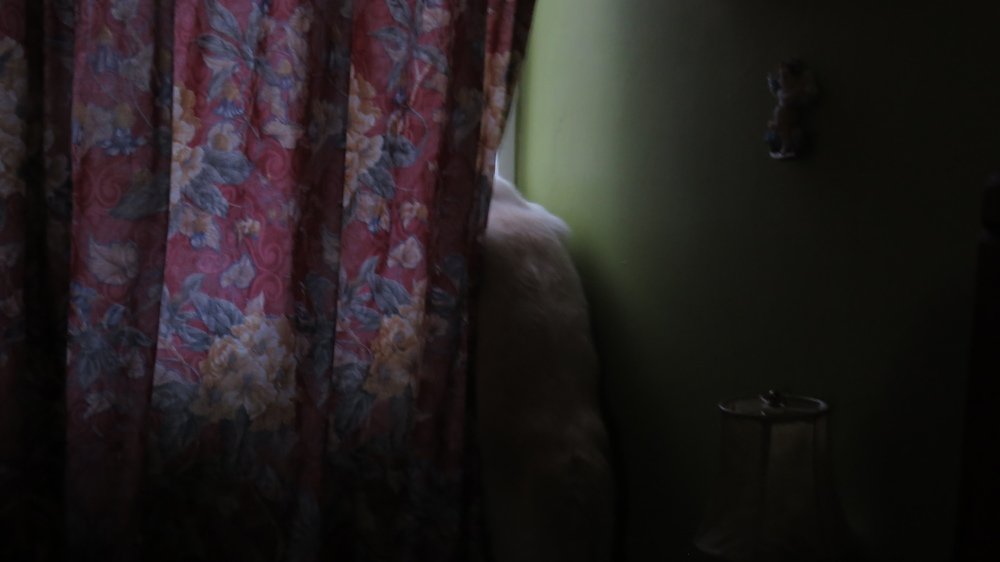 Photograph by GERMÁN DÍAZ