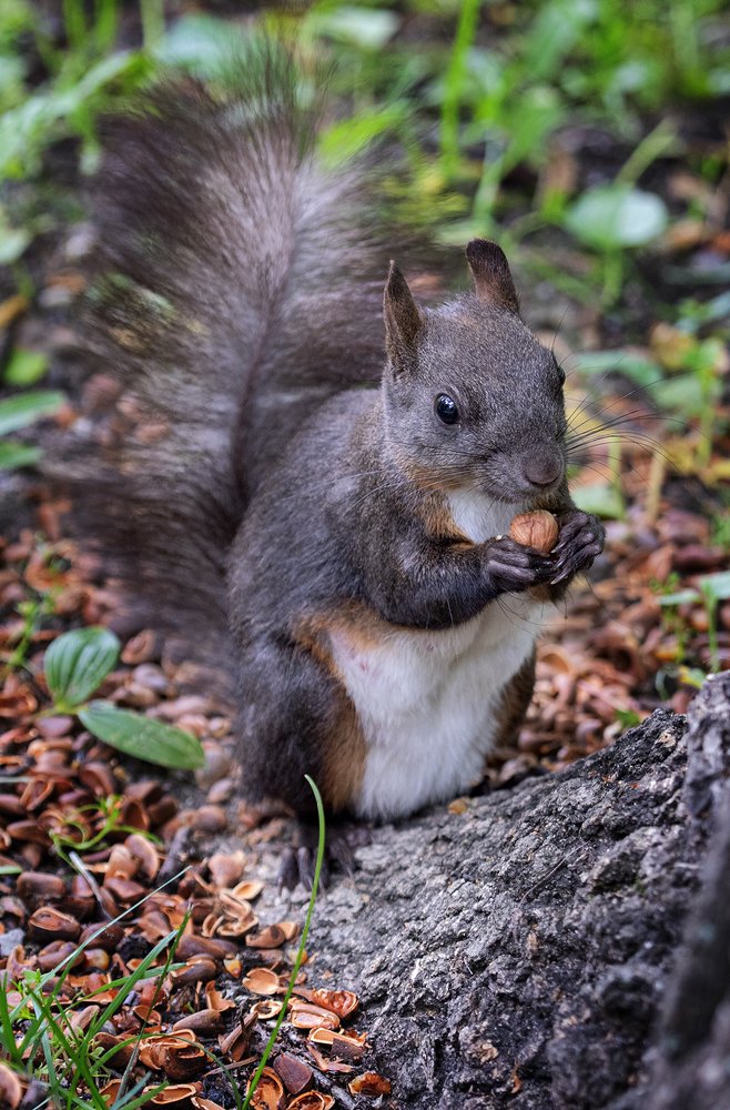 Photograph by Анкудинов Максим