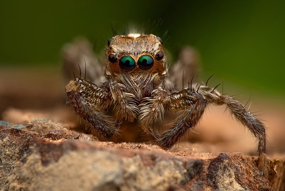 Photograph by Su Vun Lee