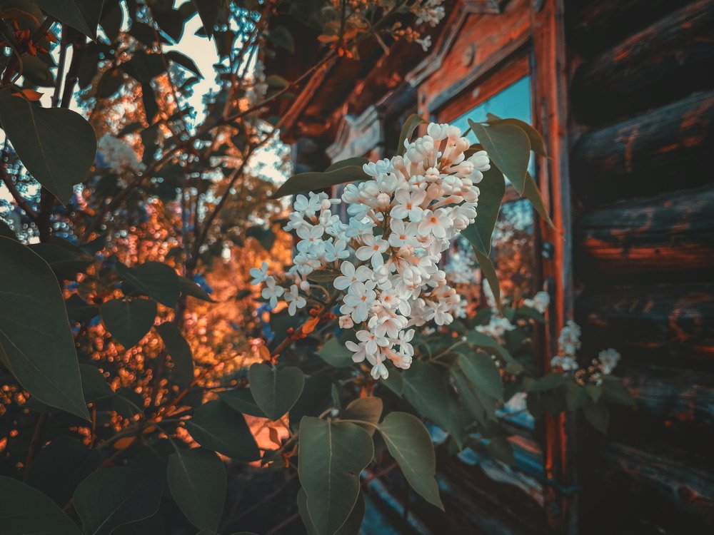 Photograph by Евгений Фазлеев