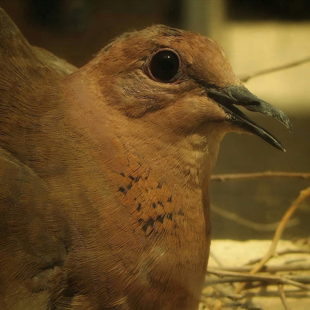 Photograph by Soleimani Hoda