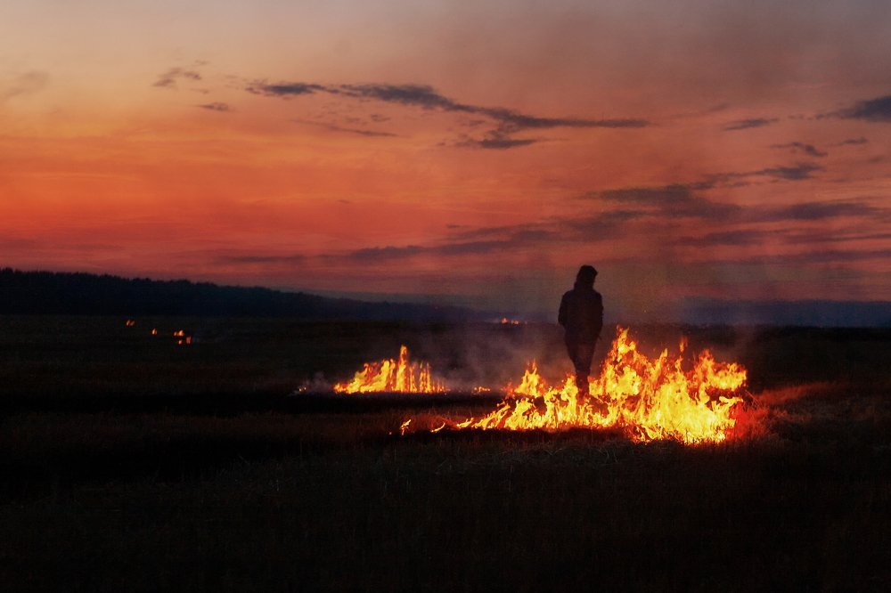 Photograph by Григорий Мальнёв