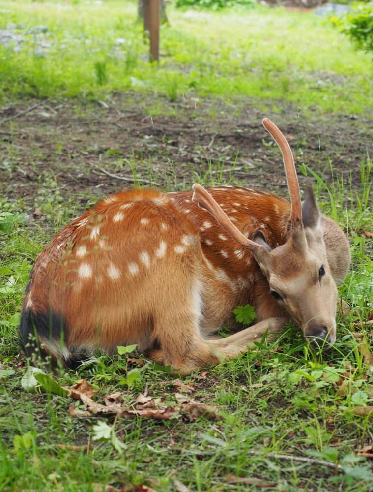 Photograph by Кристина Гареева