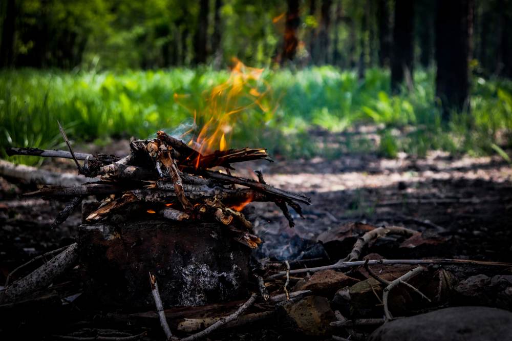 Photograph by Елена Сураева