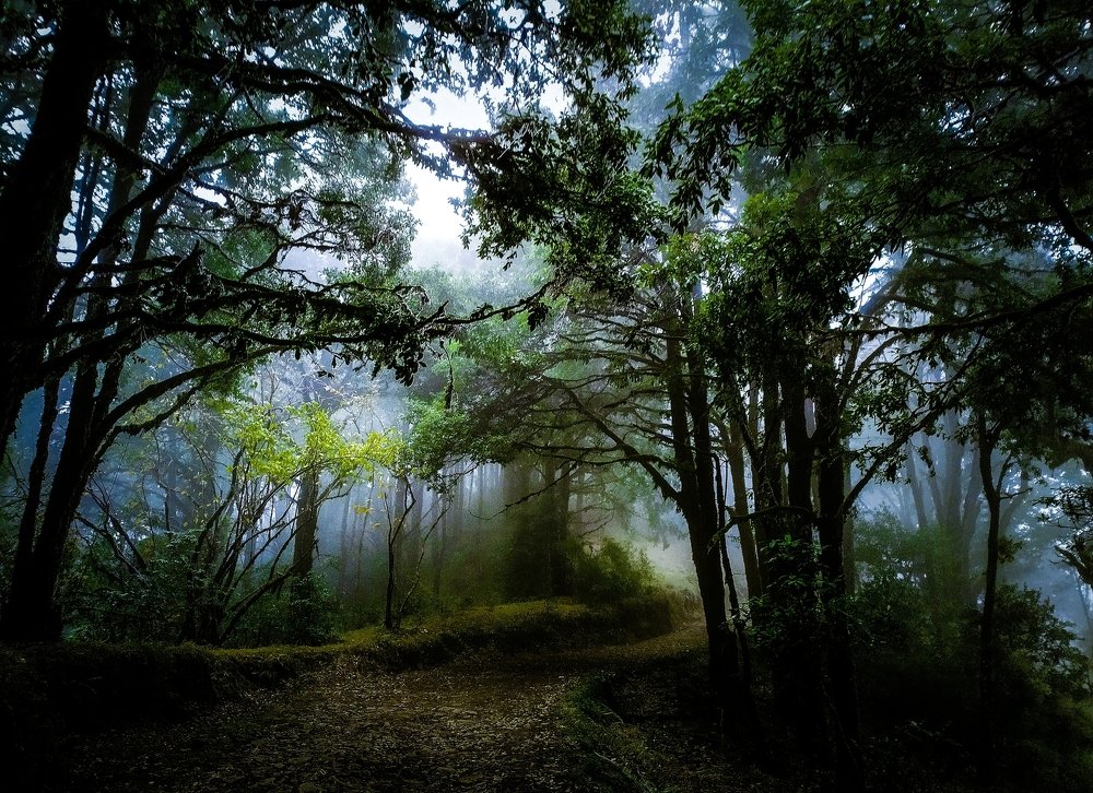 Photograph by Anindita Barui