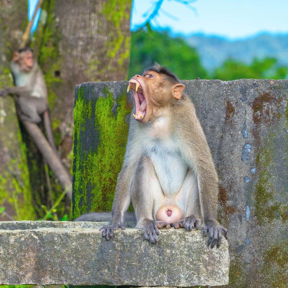 Photograph by T.M.ADITHYA SHRAVAN