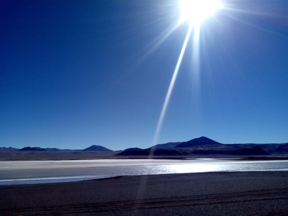 Photo #4727750