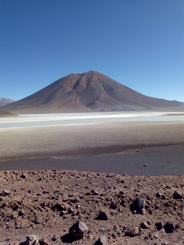 Photo #4727756