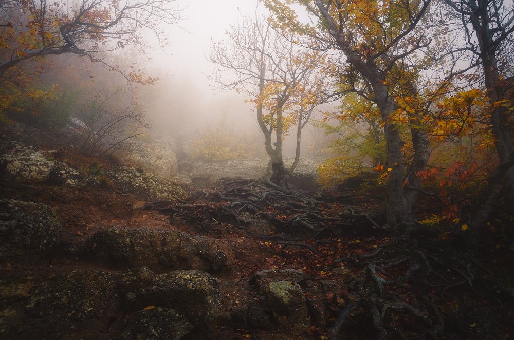 Photograph by Oleg Feofanov