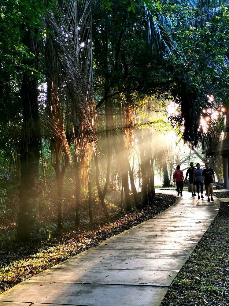 Photograph by Chunhou Poon