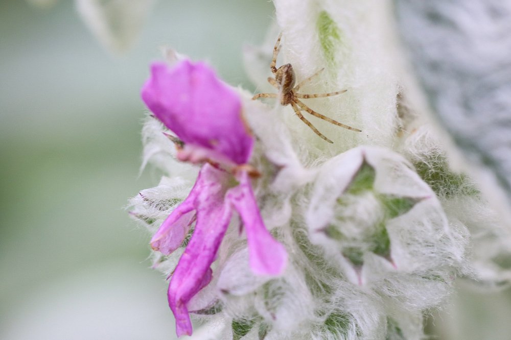 Photograph by Ремизов Владимир