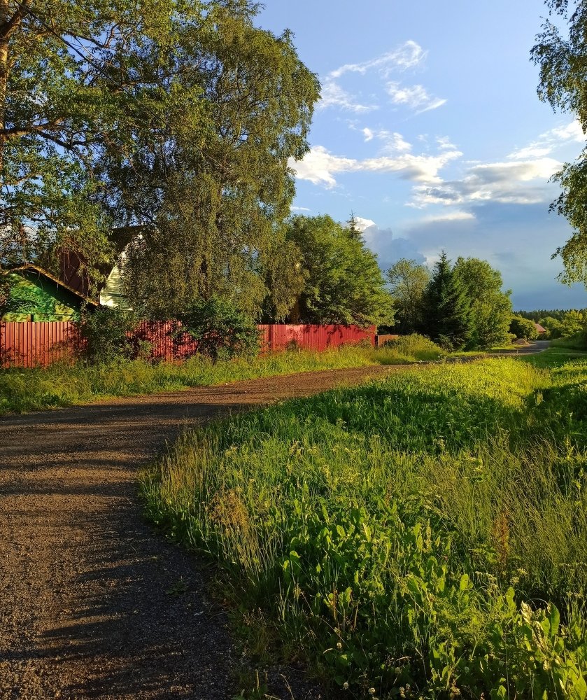 Деревенская дорога.