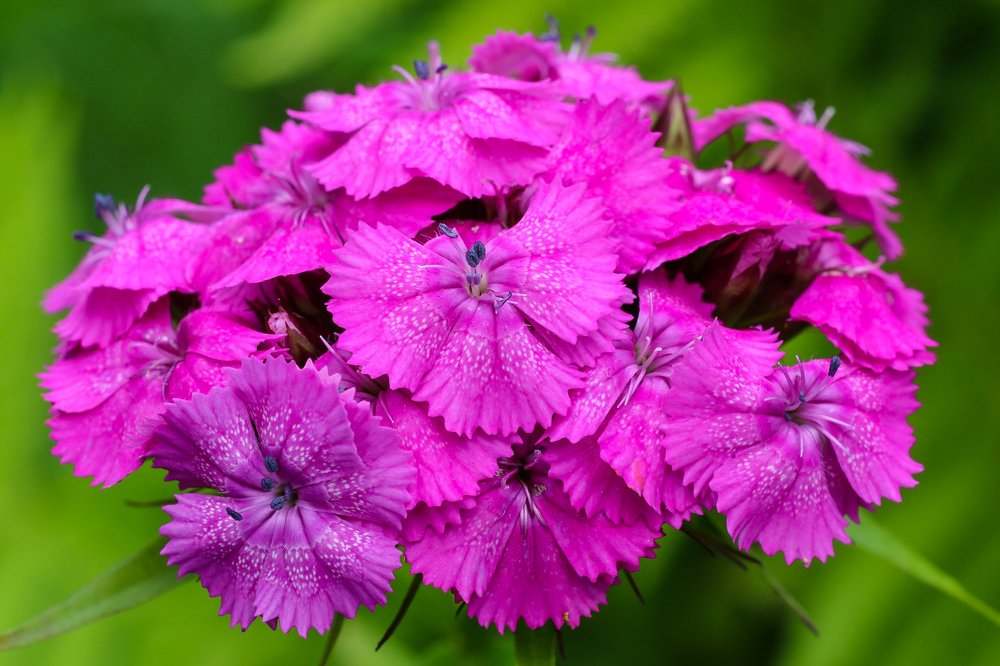 Photograph by Ремизов Владимир