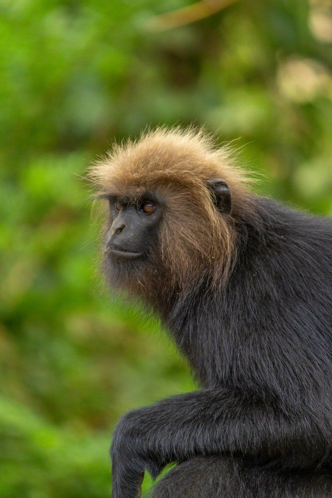 Photograph by Prasad Kn