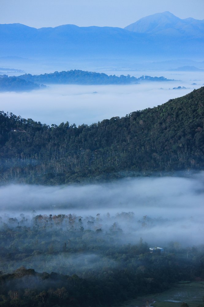 MISTY COORG...