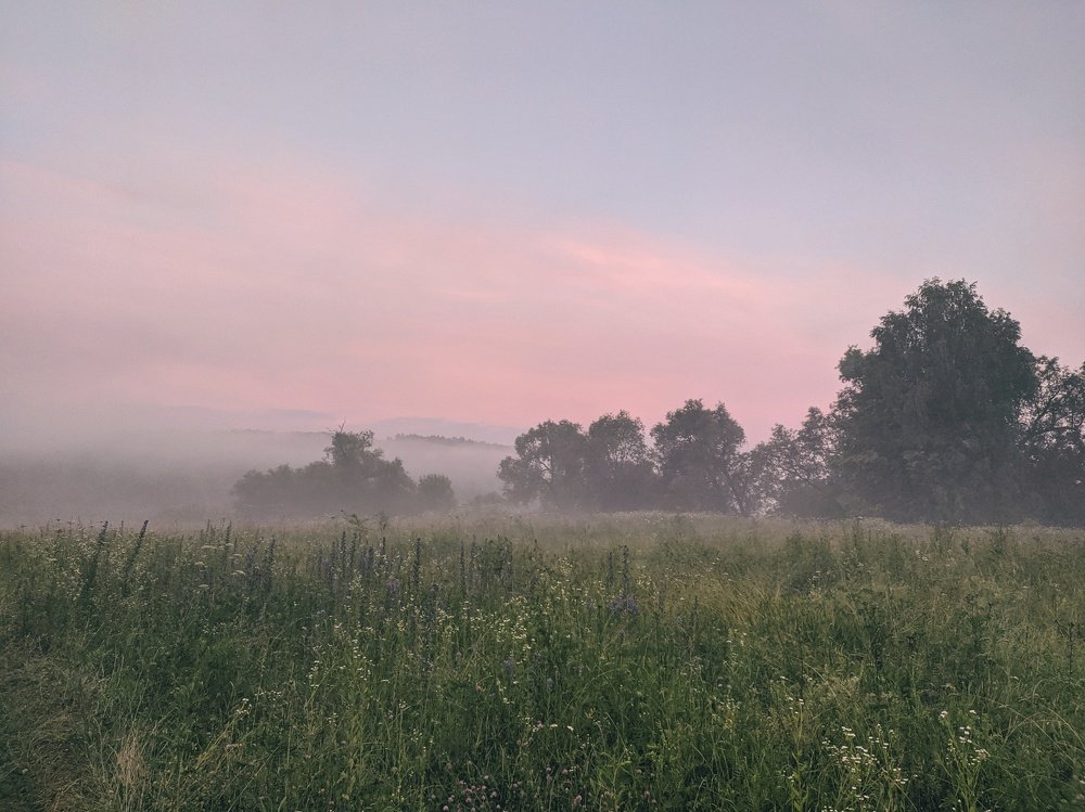 Photograph by Наталья Егорова