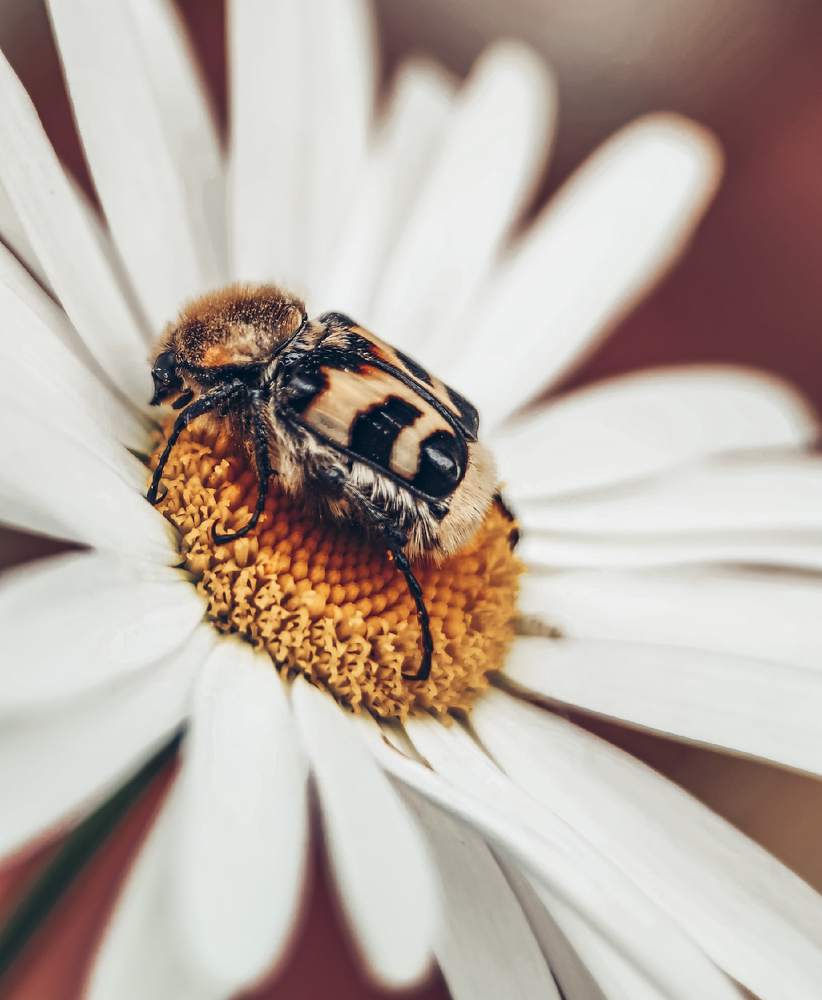 Photograph by Мария Фак