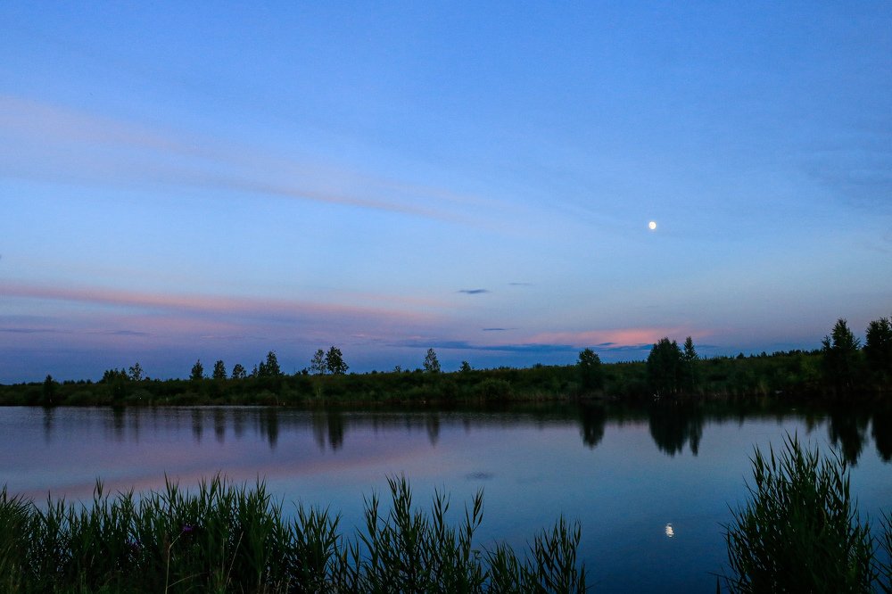 Photograph by Наталья Алексеевская