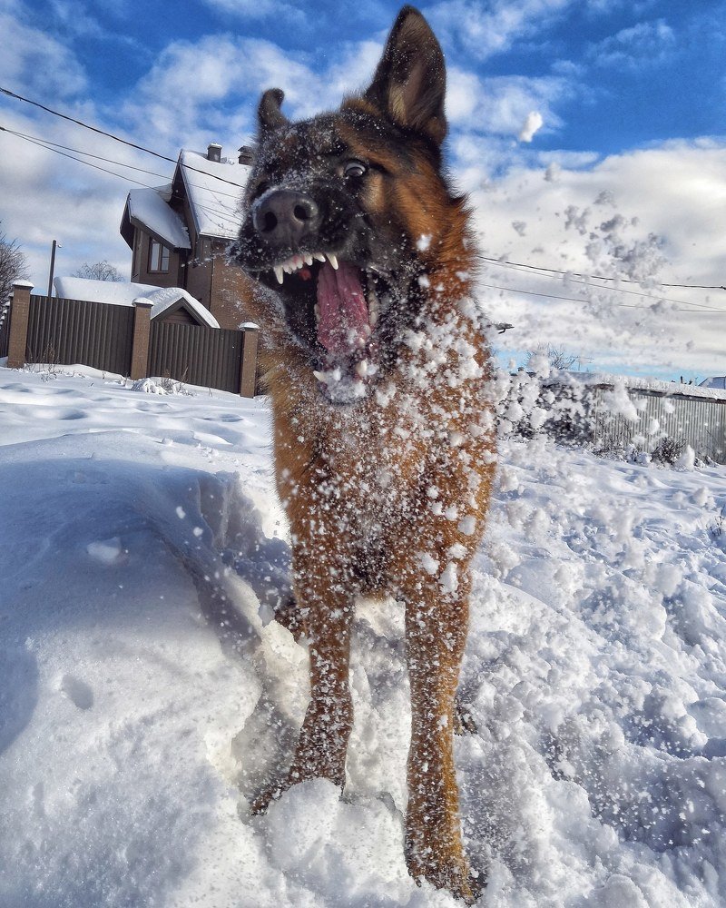 Photograph by Мария Фак