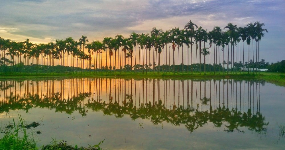 In the light of Twilight