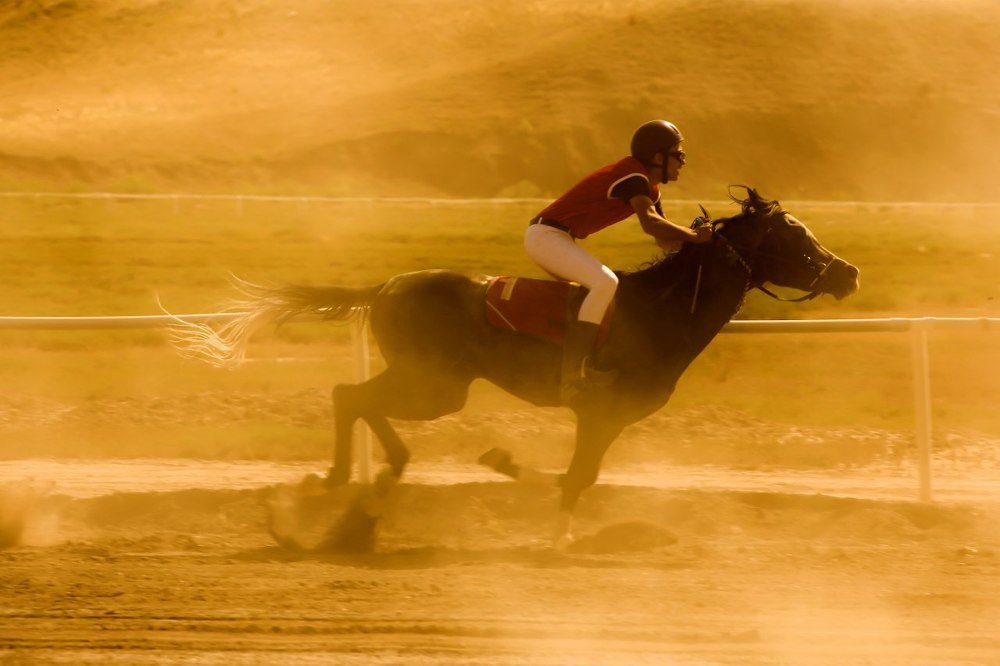 Photograph by mohammadreza behmaram