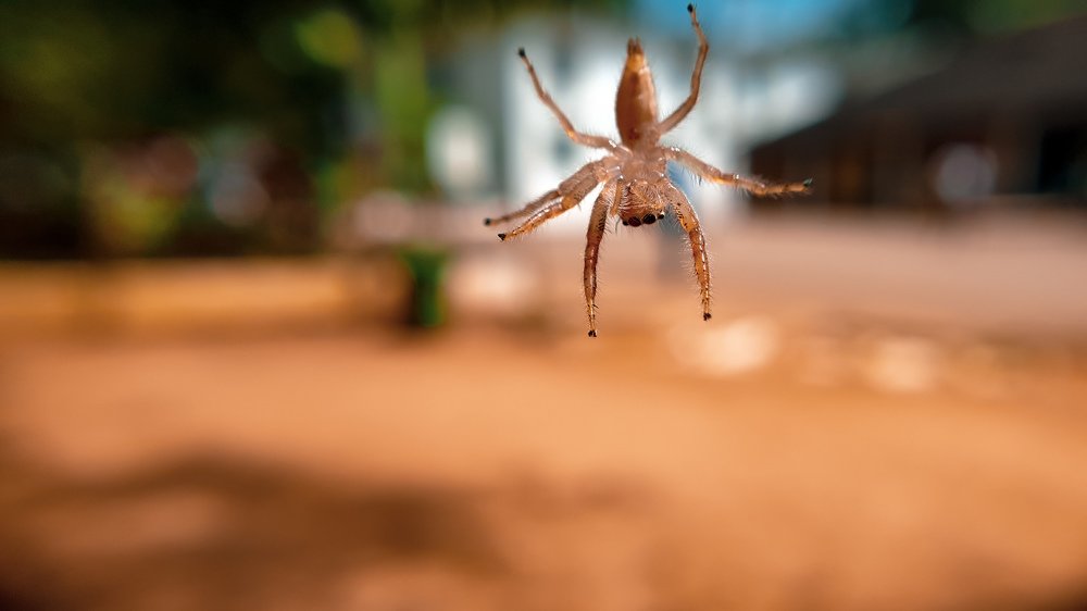 Photograph by Marc Olivier Chakour