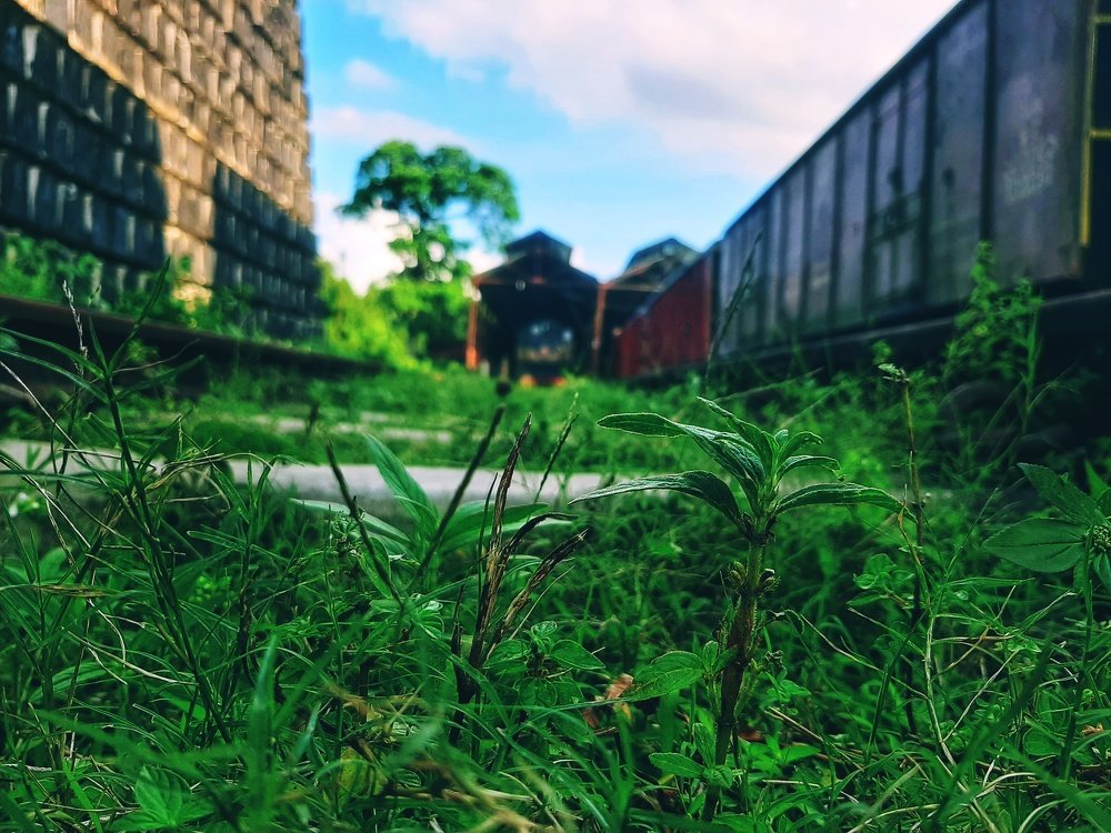 Photograph by Md. Ashraful Islam