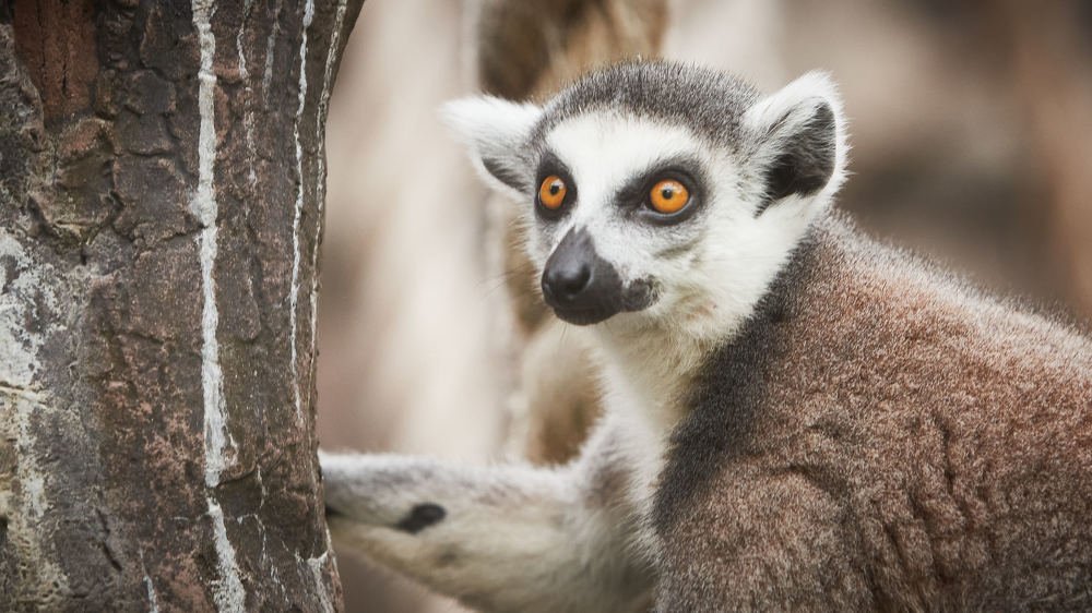 Photograph by Александр Батусов